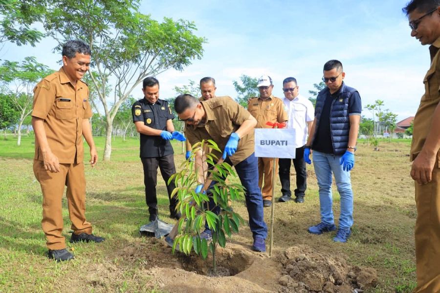 Sambut Hari Jadi Labura, Bupati Melakukan Aksi Penanaman Pohon Di Alun-Alun Aek Kanopan