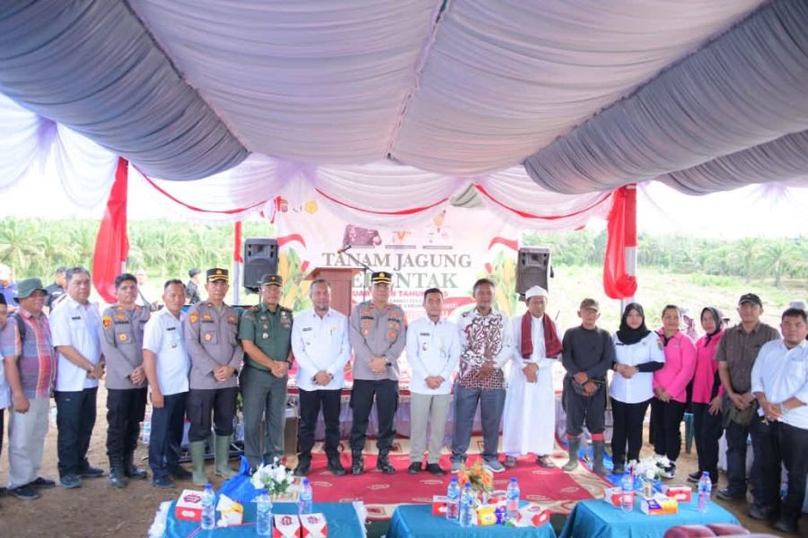 Wakil Bupati Labura Hadiri Kegiatan Tanam Jagung Serentak Kuartal III Di Damuli Pekan