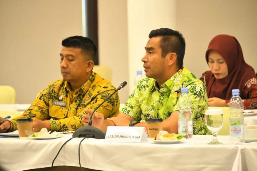 Wakil Bupati Labura Samsul Tanjung Hadiri High Level Meeting TP2-DD